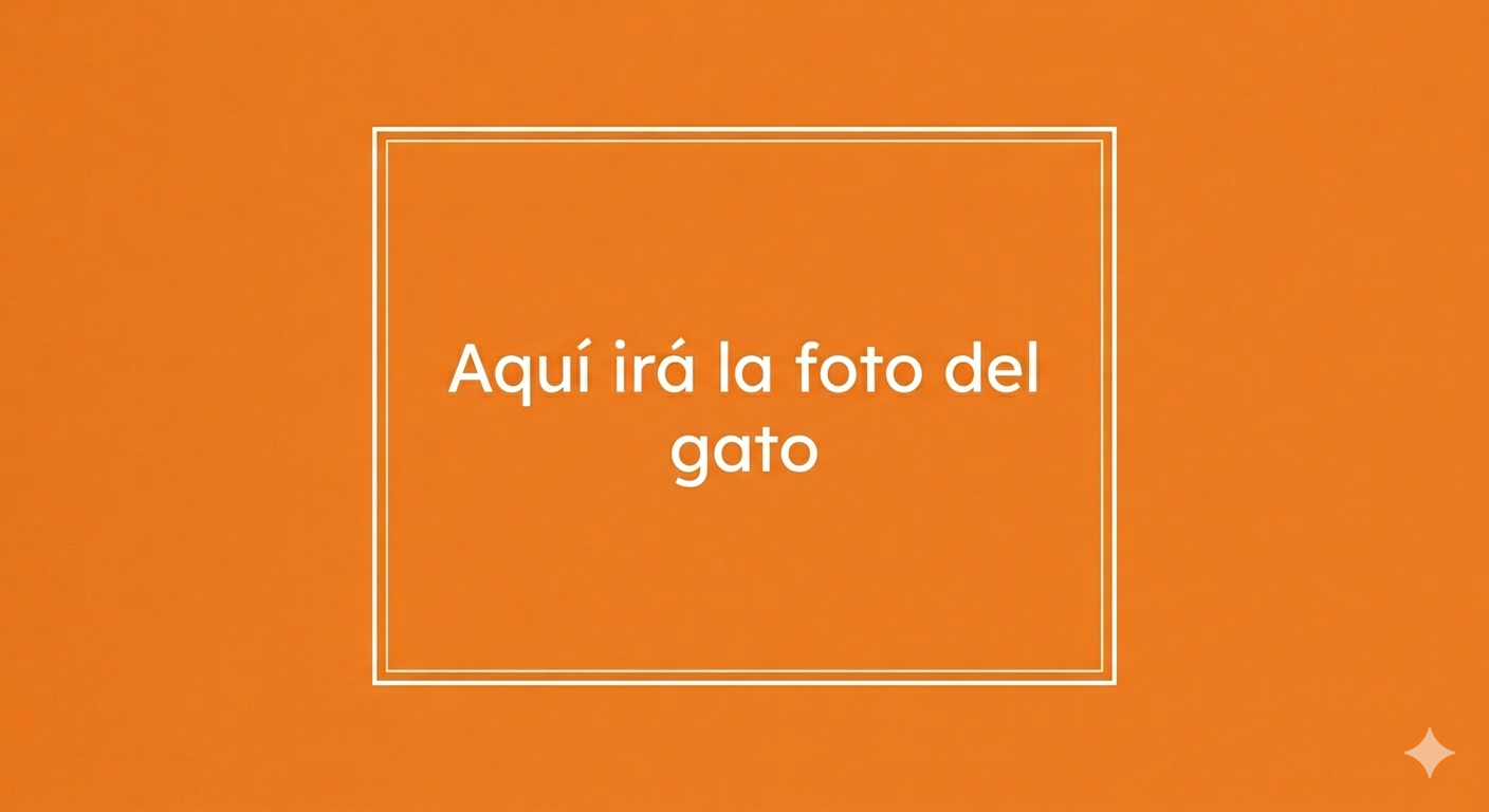 Imagen de prueba con fondo color naranja y letras blancas