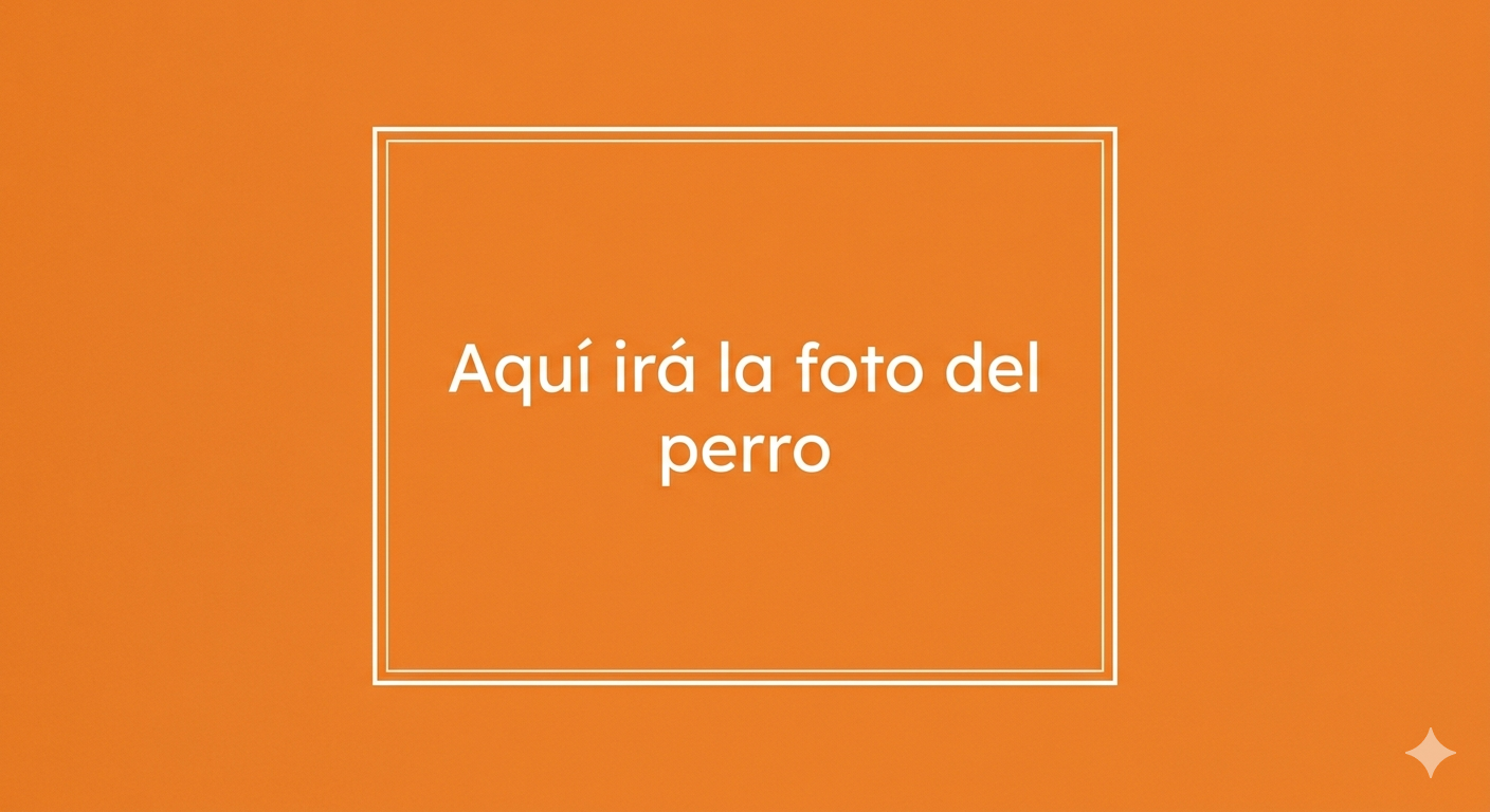 Imagen de prueba con fondo color naranja y letras blancas