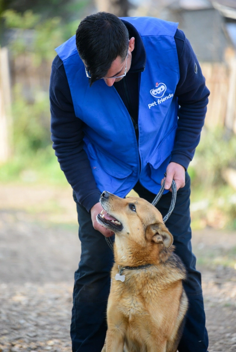 un rescatista con chaleco azul ayudando a un perro en la calle